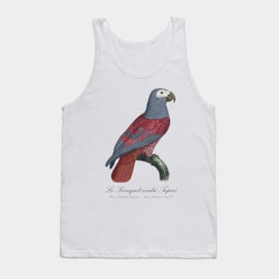 Le Perroquet Cendre Tapire Parrot - 19th century Jacques Barraband Illustration Tank Top